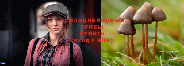 мескалин Ельня