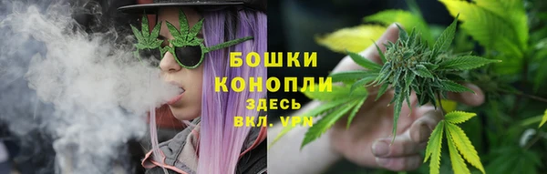 мескалин Ельня