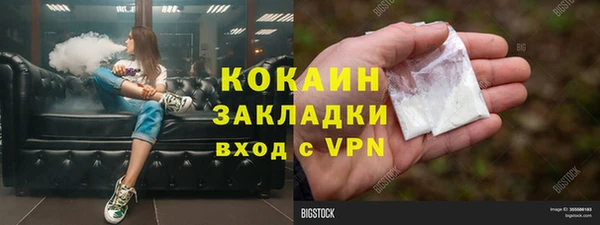 мескалин Ельня