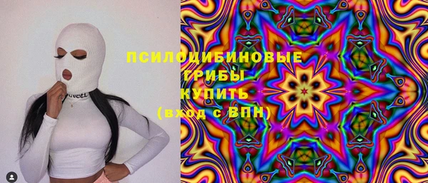 мескалин Ельня